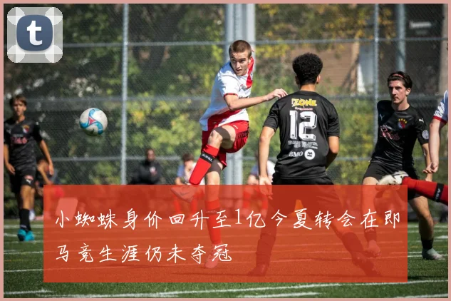 小蜘蛛身价回升至1亿今夏转会在即马竞生涯仍未夺冠