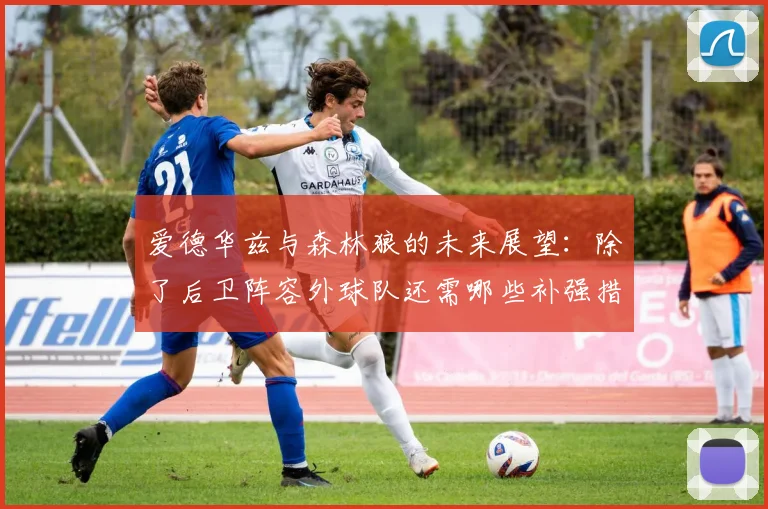 爱德华兹与森林狼的未来展望：除了后卫阵容外球队还需哪些补强措施